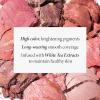 LAURA GELLER NEW YORK Baked Blush-n-Brighten Marbleized Blush – Sunswept – Creamy Lightweight – Satin Finish(Bronze Pink White)