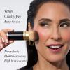 LAURA GELLER NEW YORK Retractable Black Kabuki Brush for Liquid, Cream and Powder Face Makeup With Aluminum Handle(01 Retractable Airbrush Kabuki Brush)
