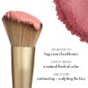 LAURA GELLER NEW YORK Retractable Black Kabuki Brush for Liquid, Cream and Powder Face Makeup With Aluminum Handle(04 Angled Blush Brush)